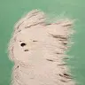 Jaeyeop Lee's avatar