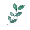 조비's avatar