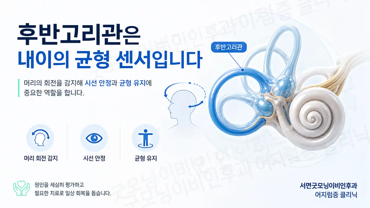 부산어지럼증 | 후반고리관은 내이에서 어떤 역할을 하나요?