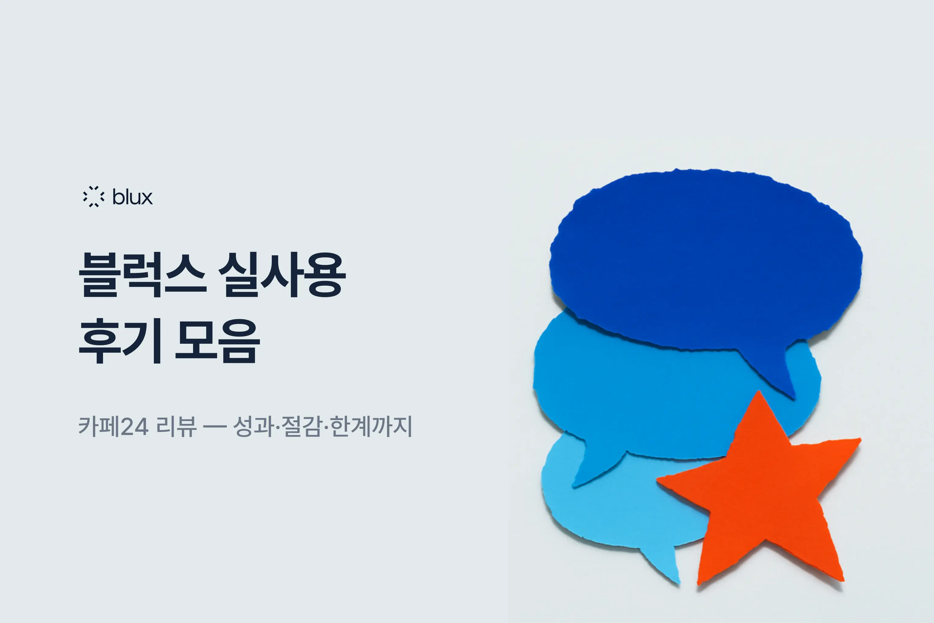 블럭스 후기 모음 — 실사용 리뷰로 본 Blux