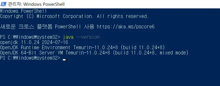 설치된 Java 버전 확인