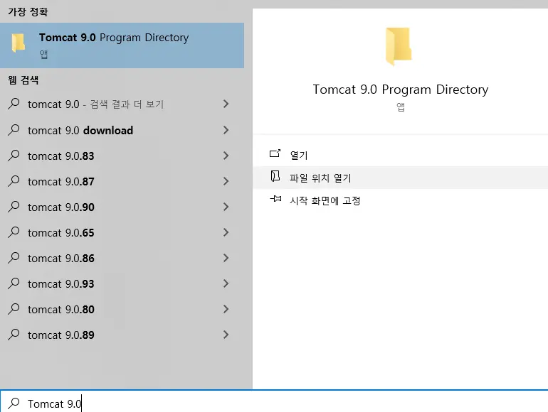 Tomcat 9.0 설치 확인