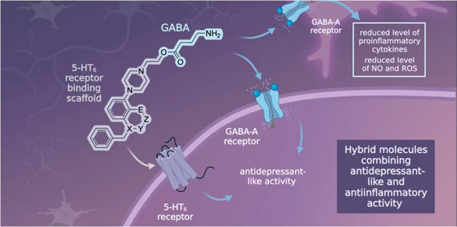 가바 신경전달물질 작용 메커니즘 도식 | 녹트리서치 