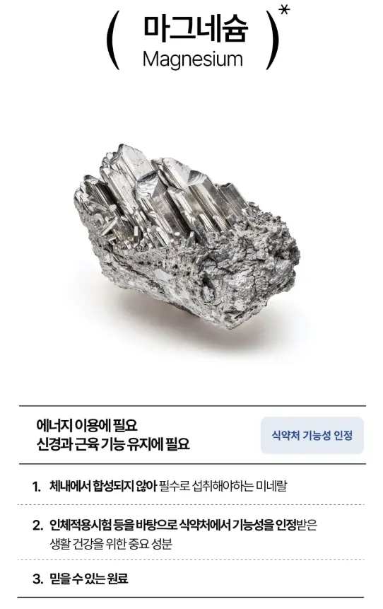 마그네슘 효과 녹트리서치