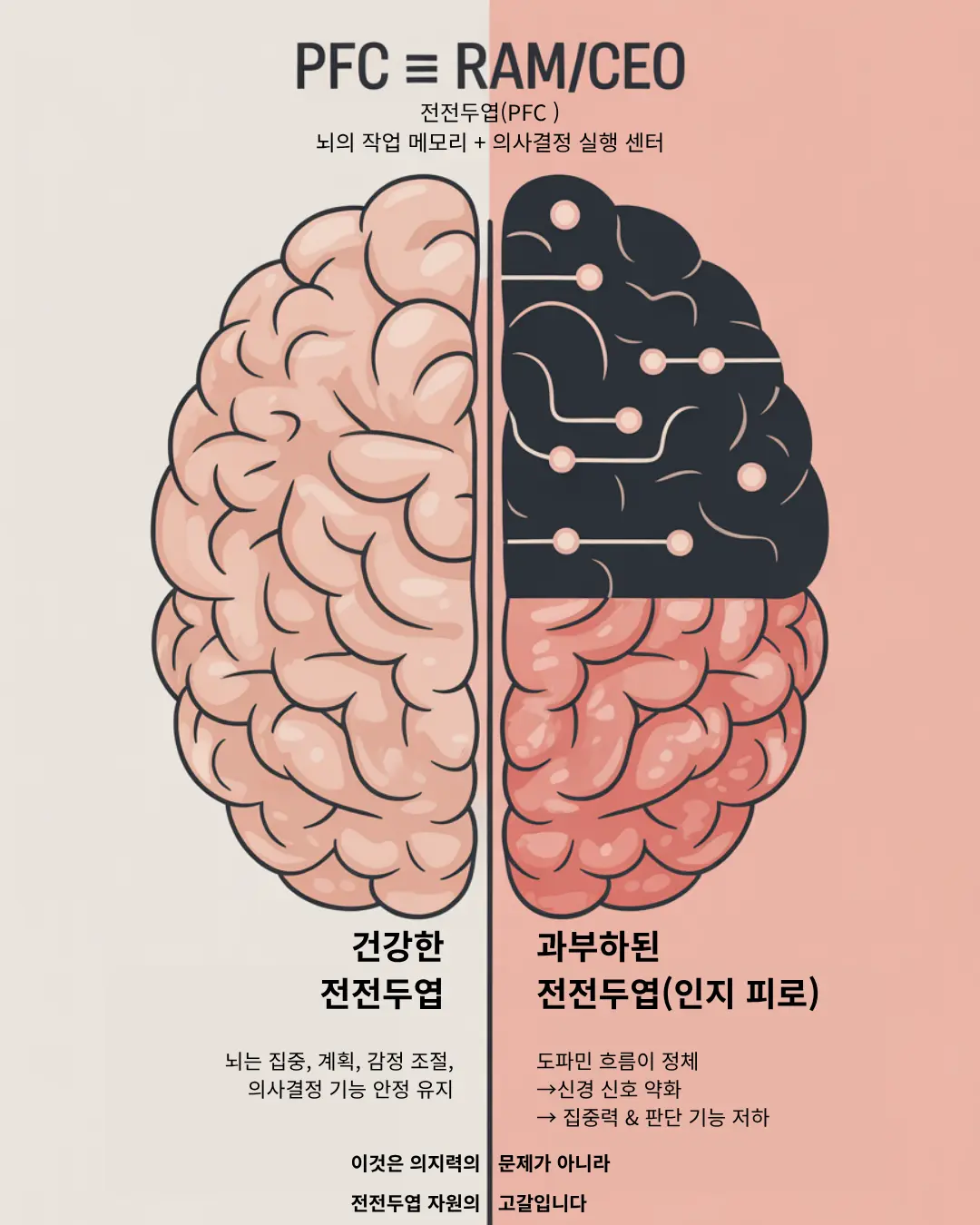 전전두엽(PFC)의 건강한 상태와 인지 피로 상태 비교. 집중력, 감정 조절, 판단 기능의 차이를 시각화한 뇌 그림