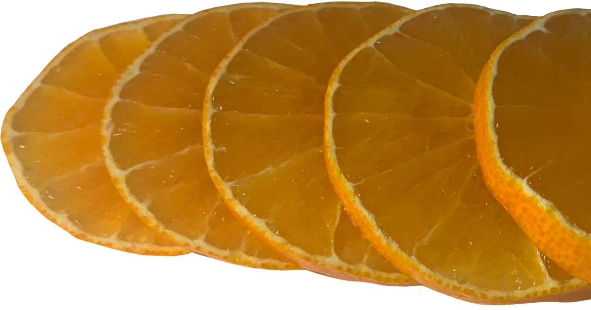 가니시 슬라이스