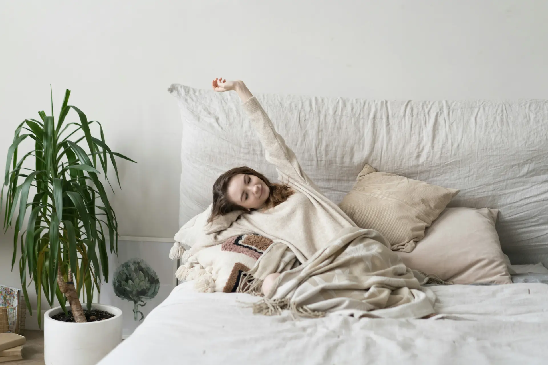 숙면을 위한 안전한 수면영양제 녹트리서치 슬립케어