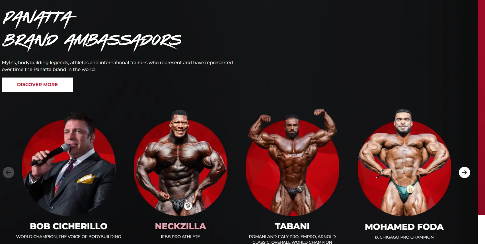 이탈리아 프리미엄 머신 브랜드 파나타(Panatta)를 보디빌딩 관점에서 분석합니다. 저항 곡선 설계, Free Weight Special·Pure Kraft 라인 특징, 커스터마이징과 체육관 인테리어 시너지까지 한 번에 정리.