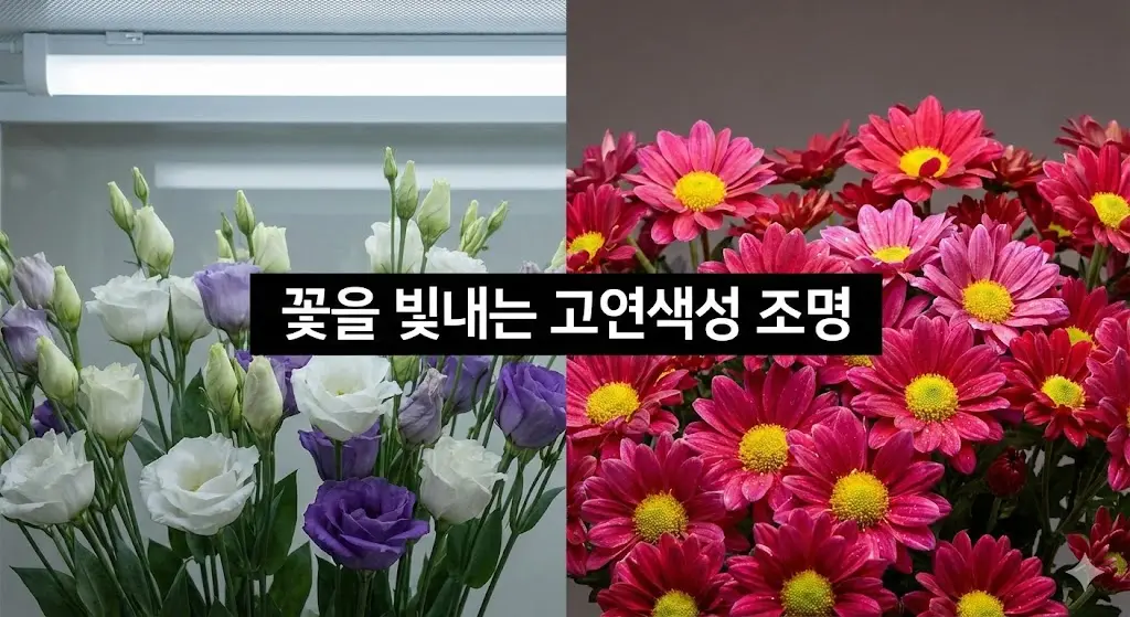 일반 조명(왼쪽)과 고연색성 조명(오른쪽) 아래에서 꽃의 색감이 얼마나 다르고 선명하게 보이는지 비교하는 이미지.