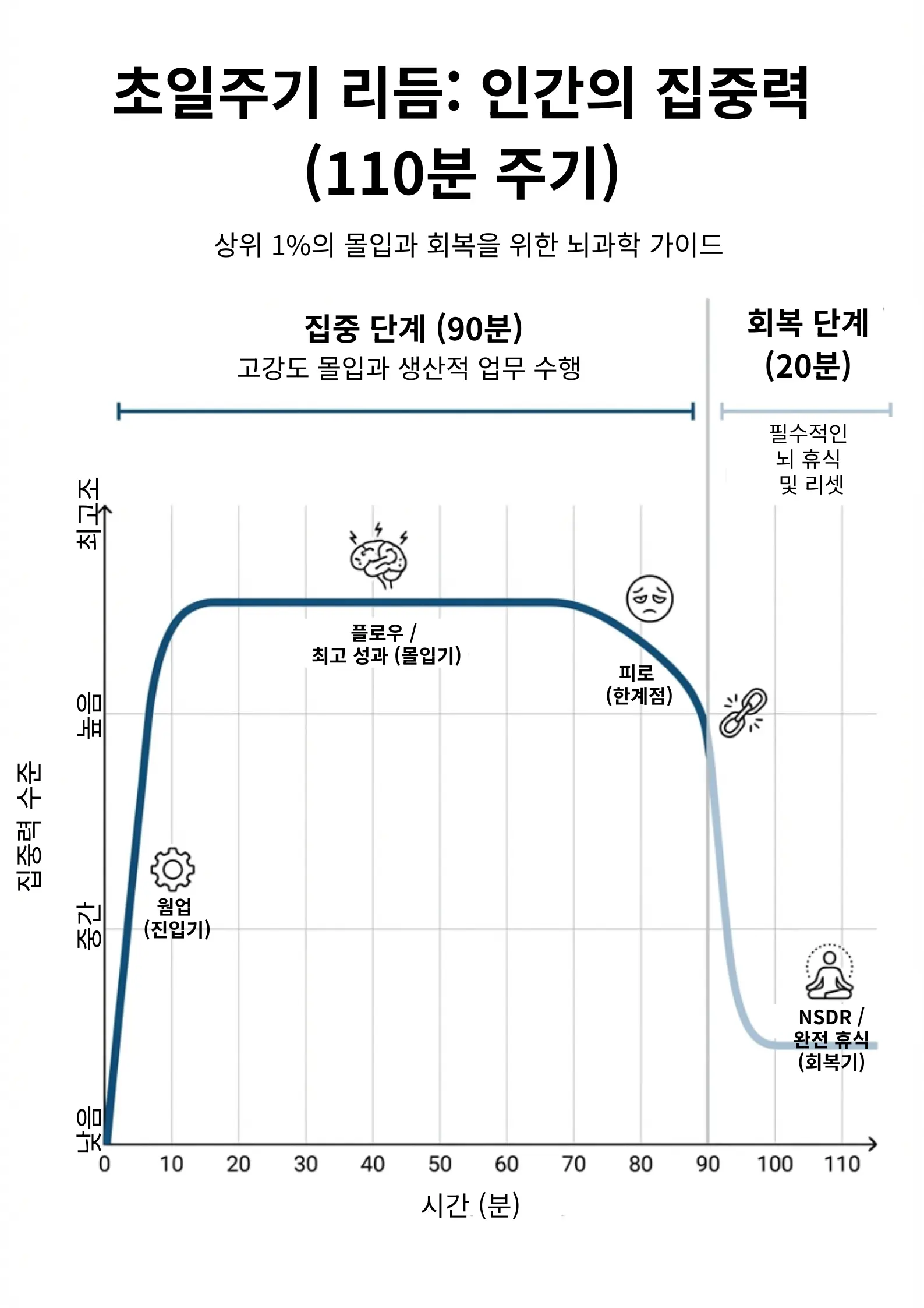 90분 초일주기 리듬(Ultradian Rhythm)에 따른 인간 집중력 변화 그래프 시각화 자료. 10분의 웜업(진입기), 70분까지의 플로우 최고 성과(몰입기), 90분 시점의 급격한 피로(한계점), 이후 20분간의 NSDR 완전 휴식(회복기) 단계를 보여줌