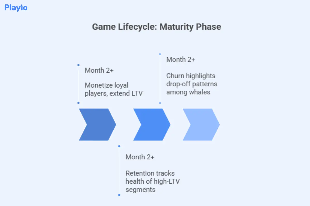 game  lifecycle: maturity phase