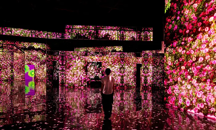  An eye-level shot within the "FLOWER" zone at Arte Museum Busan in Yeongdo. The vast, immersive room features floor-to-ceiling projections of vibrant, oversized camellia and rose petals in shades of deep red and pink that appear to flutter and cascade through the air.  Mirrored walls and floors create an infinite reflection, making it feel as though the visitor is standing in the center of a boundless, swirling floral universe. The space is dimly lit, allowing the glowing digital blossoms to dominate the atmosphere. Visitors can be seen as dark silhouettes against the bright, colorful projections, emphasizing the massive scale of the installation. The overall mood is dreamlike and ethereal, designed to engage multiple senses through synchronized sound and a subtle floral fragrance.