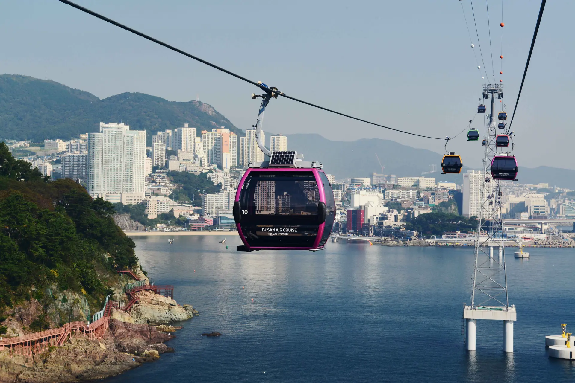  A wide-angle, eye-level shot of the Busan Air Cruise (Songdo Marine Cable Car) traveling over the sea. In the foreground, a vibrant purple cable car cabin hangs from a thick black cable, with the city and coastline reflected in its glass windows.  Behind it, a line of colorful cable cars (yellow, red, green, and blue) extends toward a tall silver lattice support tower anchored in the water. The left side of the frame shows a lush, green coastal cliff with a winding wooden pedestrian boardwalk (the Songdo Coastal Trail) hugging the rocky shoreline.  In the background, the dense urban skyline of Busan features numerous white and gray high-rise buildings nestled against hazy, rolling mountains under a clear, bright sky. The calm blue water of the bay completes this scenic view of one of Busan's most popular coastal attractions.