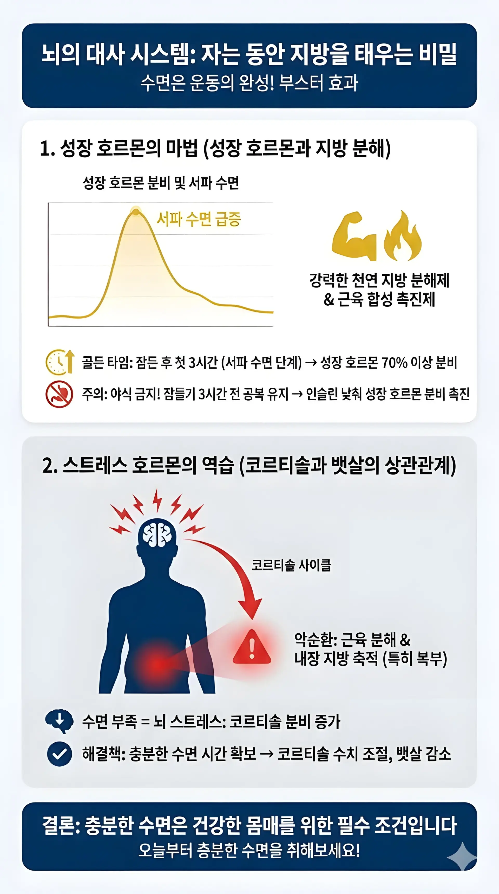 수면 중 성장 호르몬(Growth Hormone) 분비가 지방 분해를 촉진하는 서파 수면 그래프와, 수면 부족 시 스트레스 호르몬 코르티솔(Cortisol)이 복부 내장 지방을 축적시키는 원리를 시각화한 뇌과학 데이터 차트