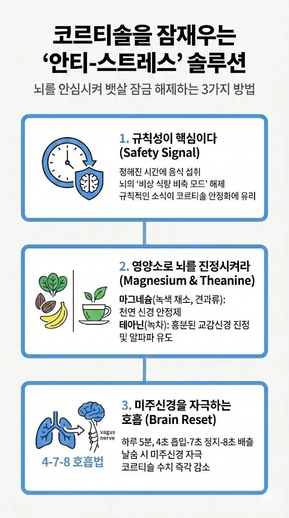 코르티솔을 잠재우고 뱃살 잠금 해제하는 안티-스트레스 솔루션 3단계 인포그래픽. 1단계: 규칙적인 식사(Safety Signal)로 뇌의 비상 식량 비축 모드 해제. 2단계: 마그네슘과 테아닌(녹차, 견과류, 바나나) 섭취로 교감신경 진정. 3단계: 4-7-8 호흡법으로 미주신경을 자극하여 코르티솔 수치 즉각 감소
