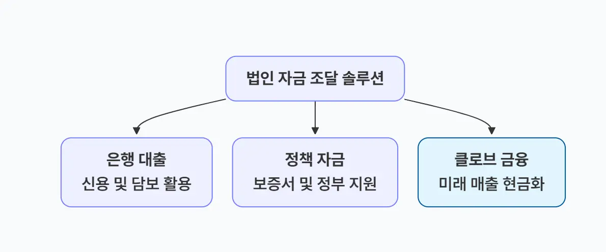 법인 자금 조달 솔루션에는 신용, 담보대출 , 정책자금, 클로브금융이 있다. 클로브 금융은 미래매출을 현금화하는 자금조달 방식이다.