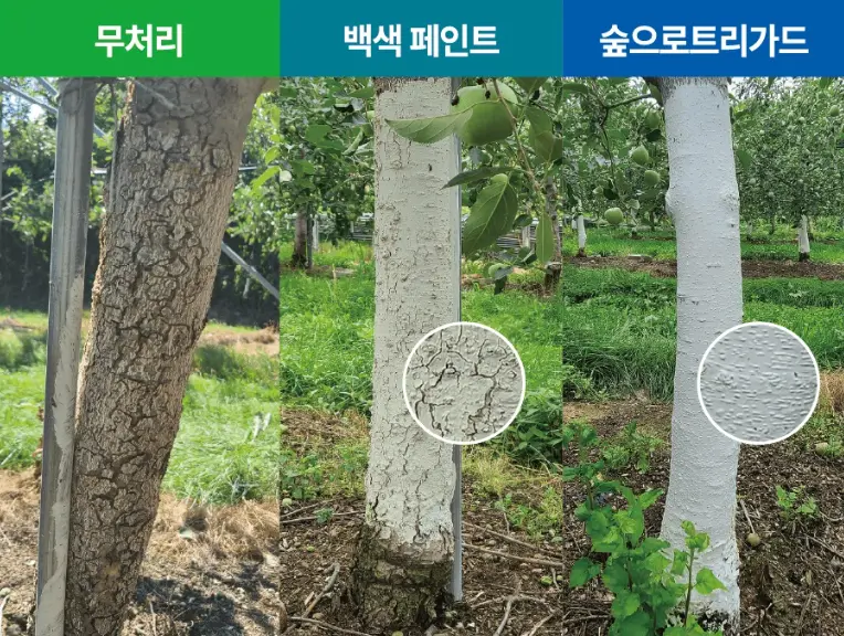 과수 전용 수성페인트 ‘숲으로트리가드(Tree-Guard)’