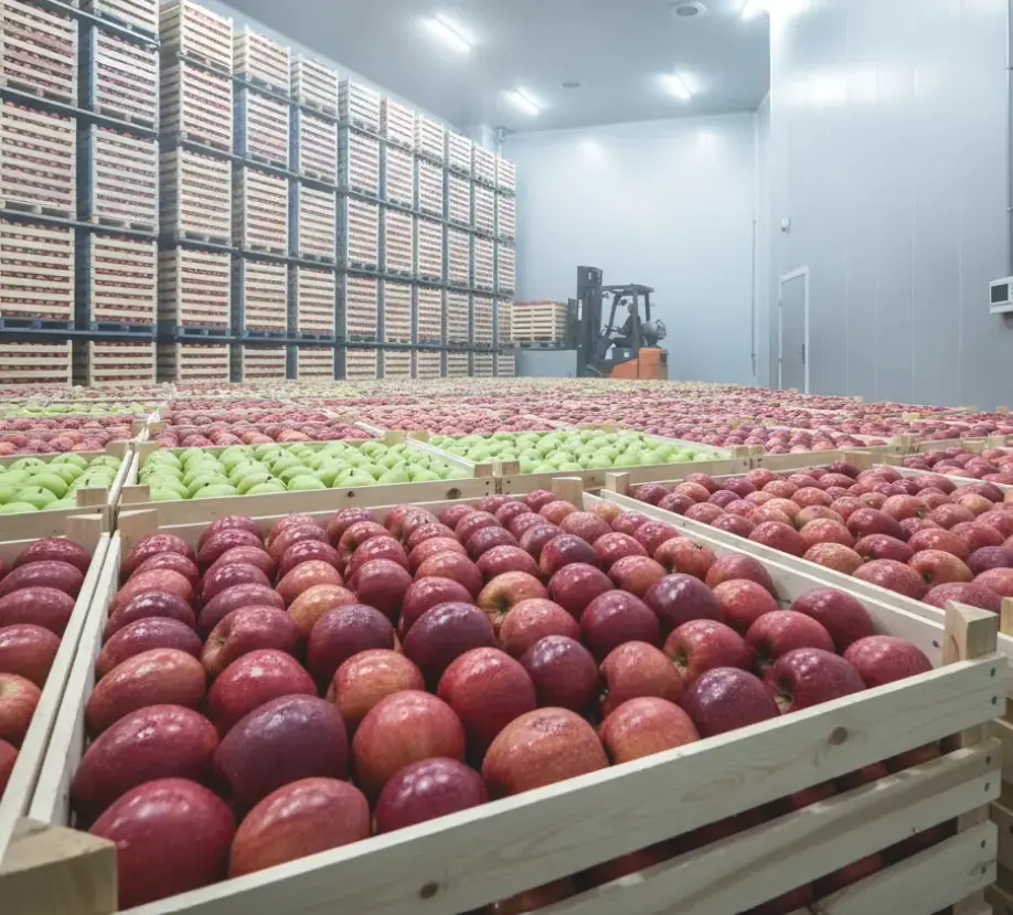 농업용 저온저장고 