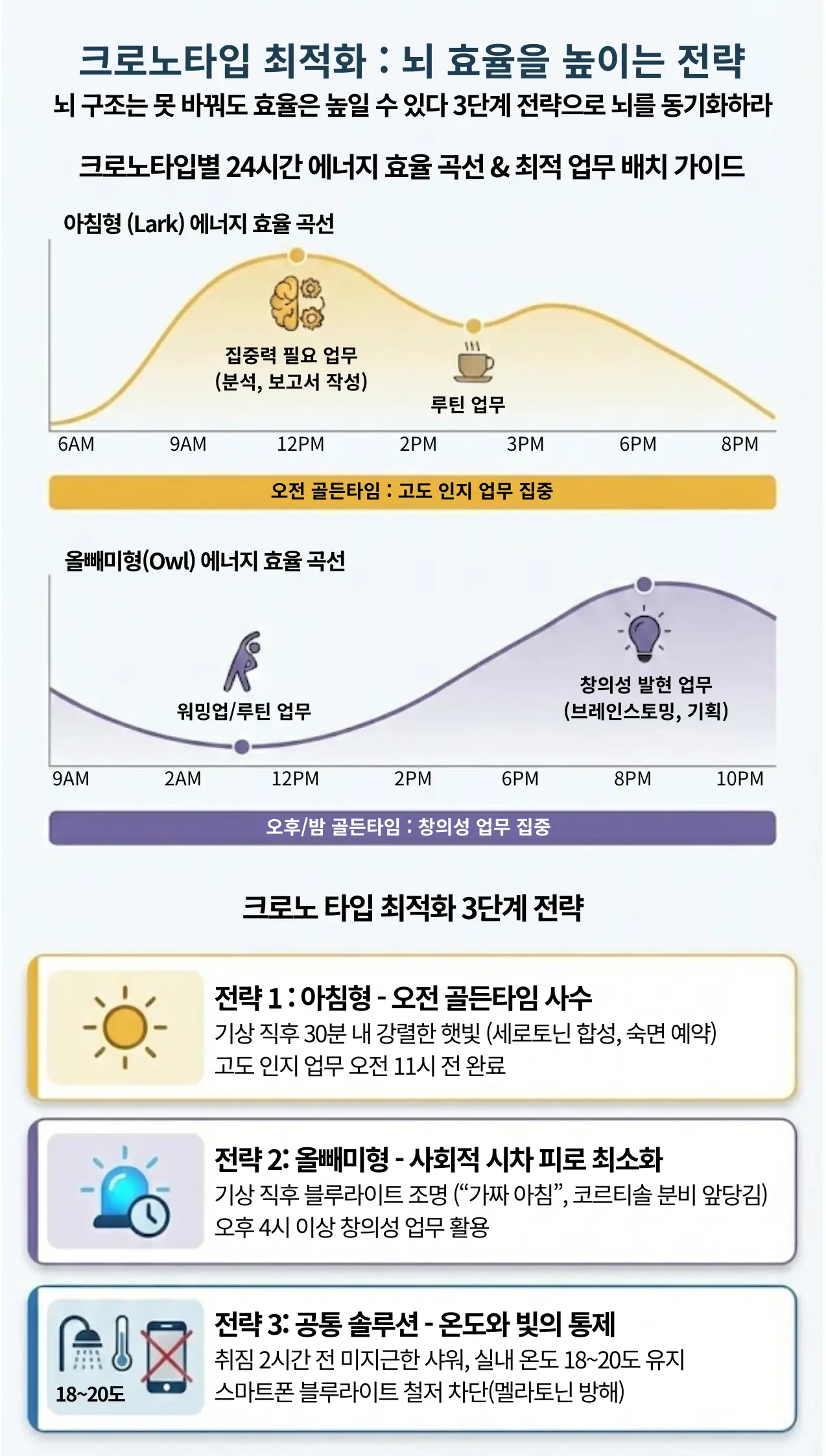 크로노타입별 24시간 뇌 에너지 효율 곡선 그래프와 3단계 최적화 전략 가이드. 그래프는 아침형 인간(Lark)이 오전 9시~12시에 집중력이 정점에 달하고, 올빼미형 인간(Owl)은 오후 8시 이후 창의성이 발현됨을 곡선으로 비교. 하단에는 3단계 전략을 제시: 1단계 아침형은 기상 직후 햇빛 노출로 오전 골든타임 사수, 2단계 올빼미형은 블루라이트 조명으로 가짜 아침을 만들어 사회적 시차 최소화, 3단계 공통 솔루션으로 취침 2시간 전 미지근한 샤워와 스마트폰 차단을 통한 온도 및 빛 통제 방법을 아이콘과 함께 요약.