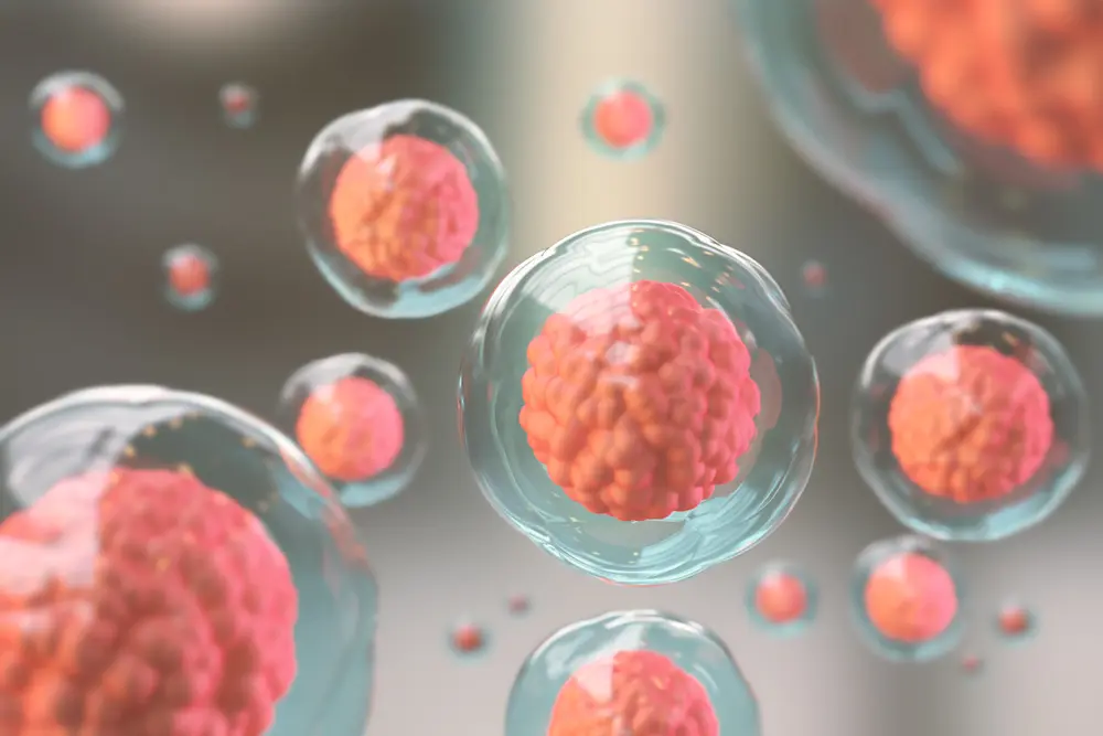 항암 부작용 증상 관리 | 힐링오아시스