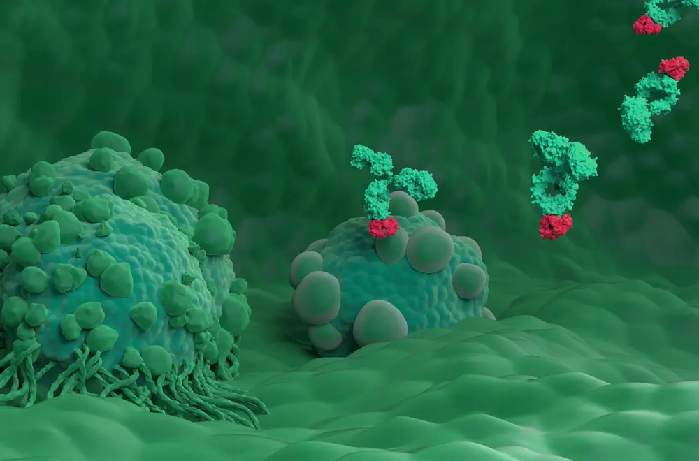췌장암 초기증상 | 힐링오아시스