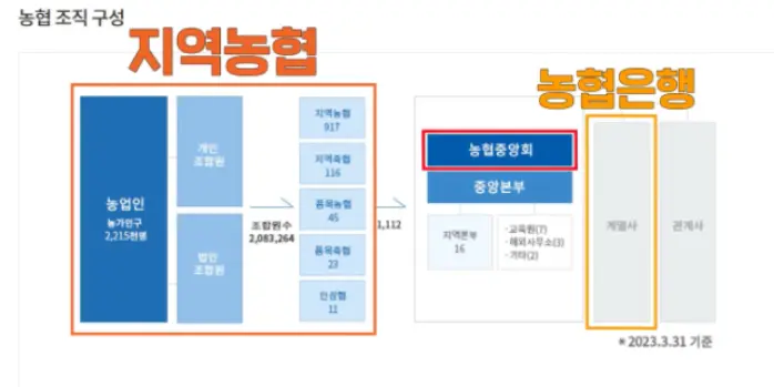 지역농협과 농협은행의 차이