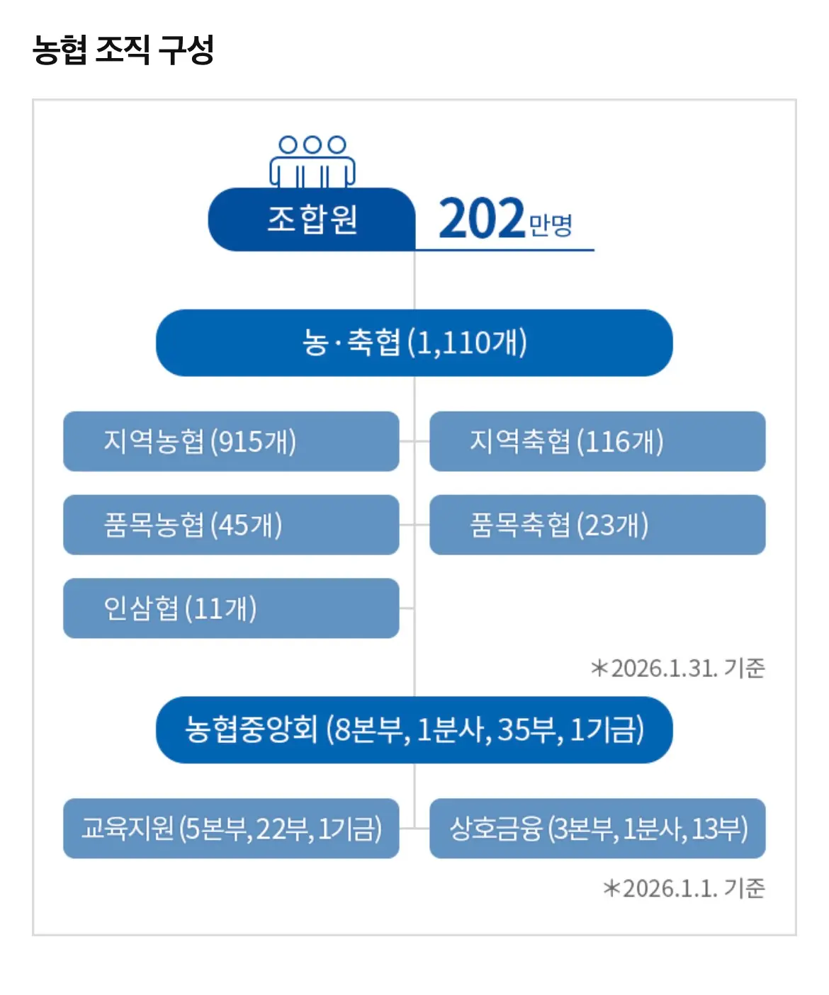 조합원부터 농·축협, 농협중앙회, 농협경제지주 및 NH농협금융지주로 이어지는 농협의 계층적 조직구조도