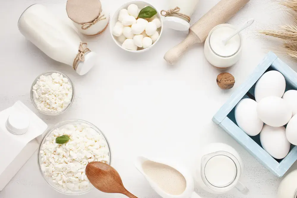 암요양병원 영양 관리 프로그램