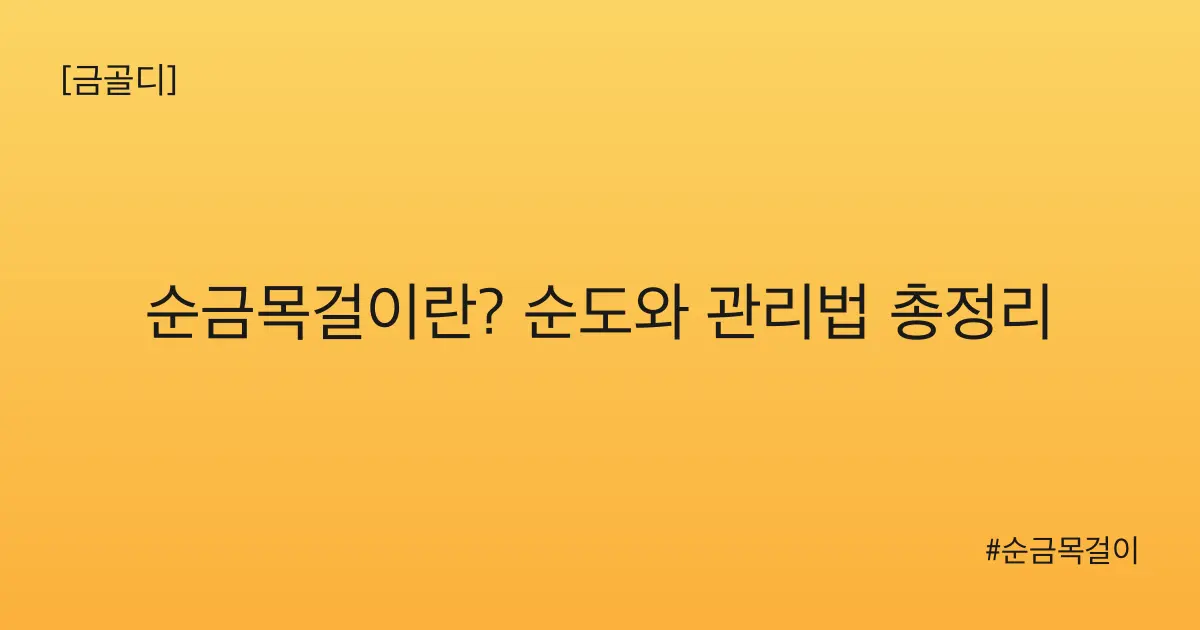 [금골디]순금목걸이란? 순도와 관리법 총정리
