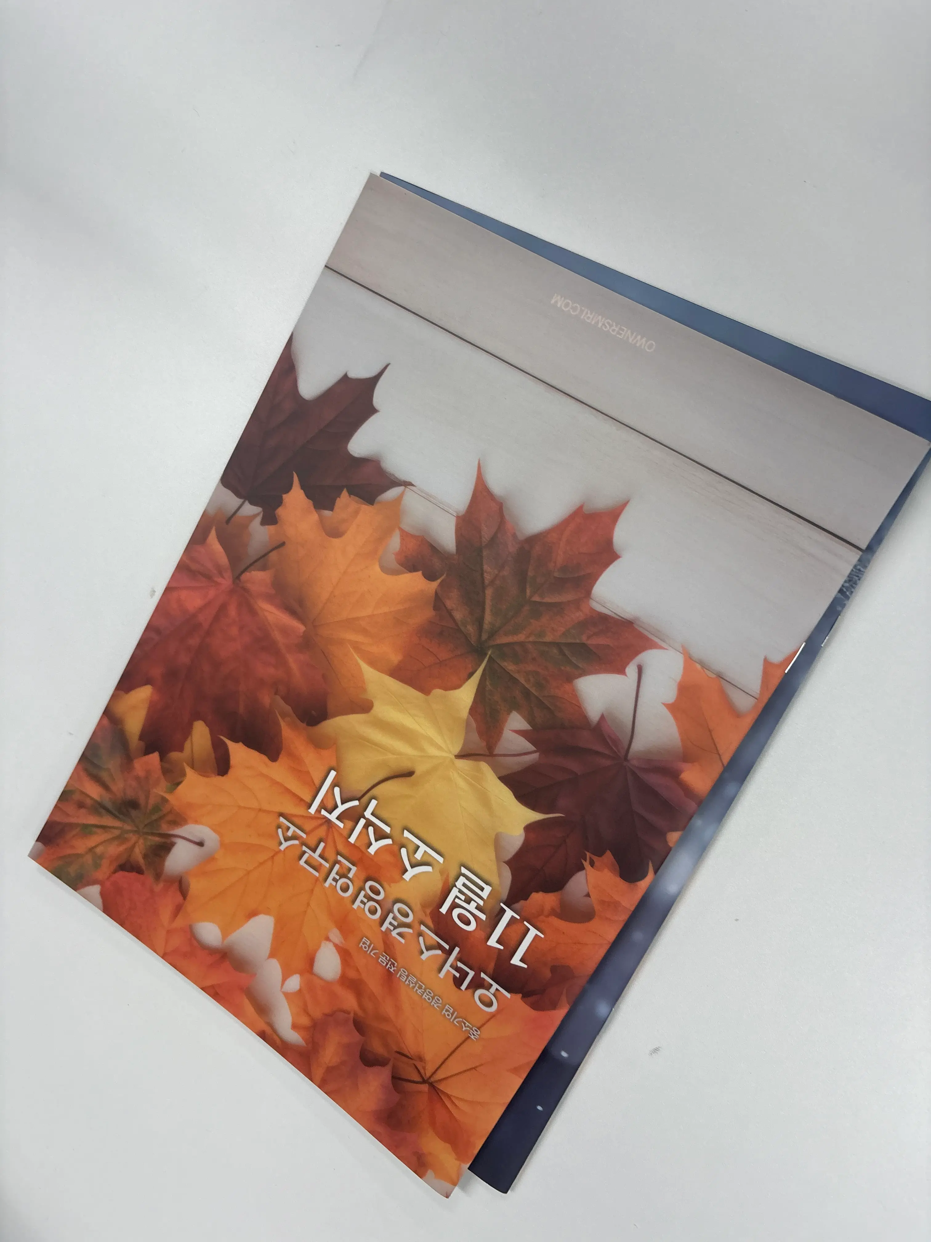 기업부설연구소 인증 거절, 울산 제조기업이 놓친 것은