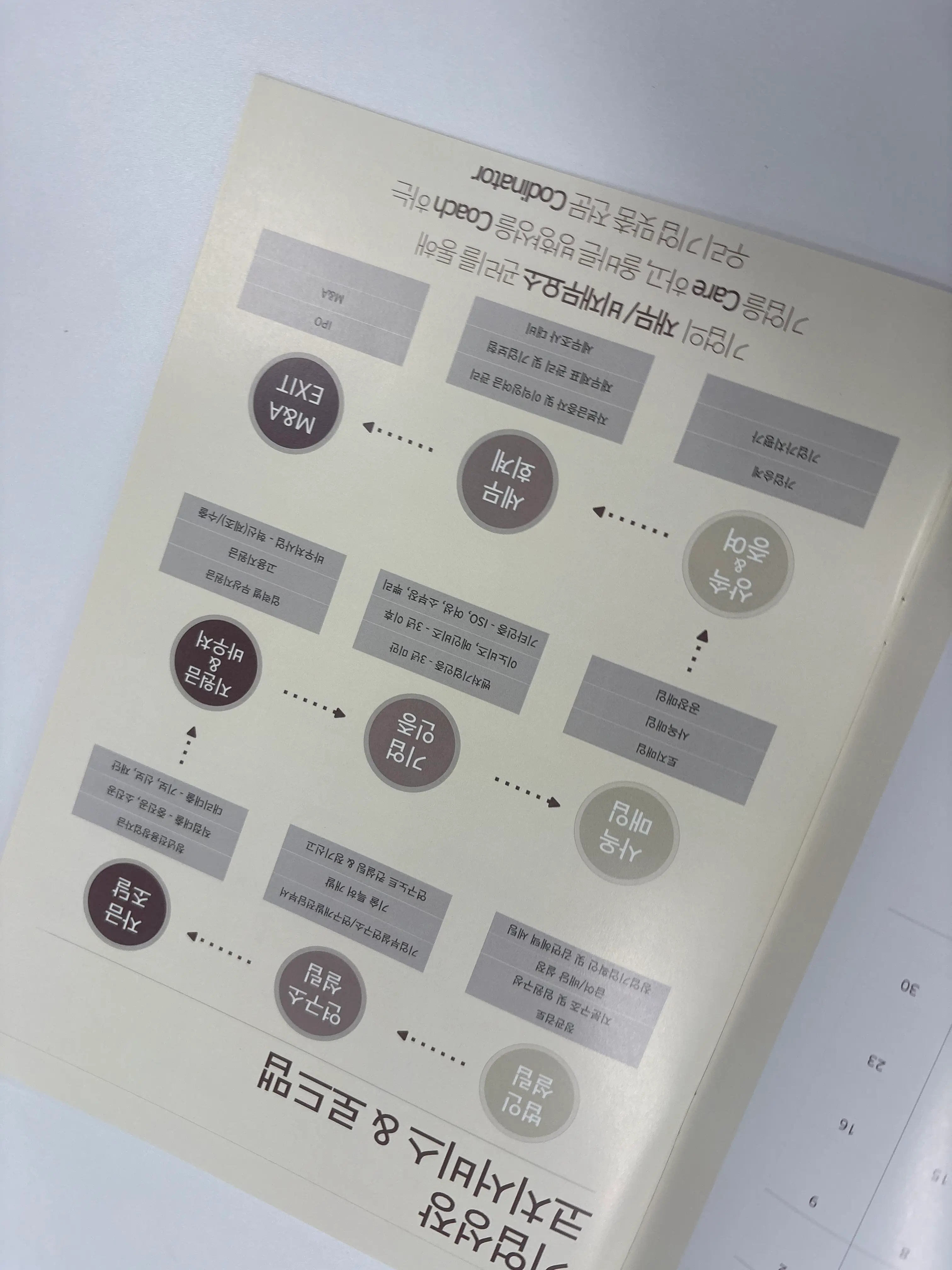 서울 IT 기업이 법인절세 전략으로 세무조사 위험을 줄인 사례