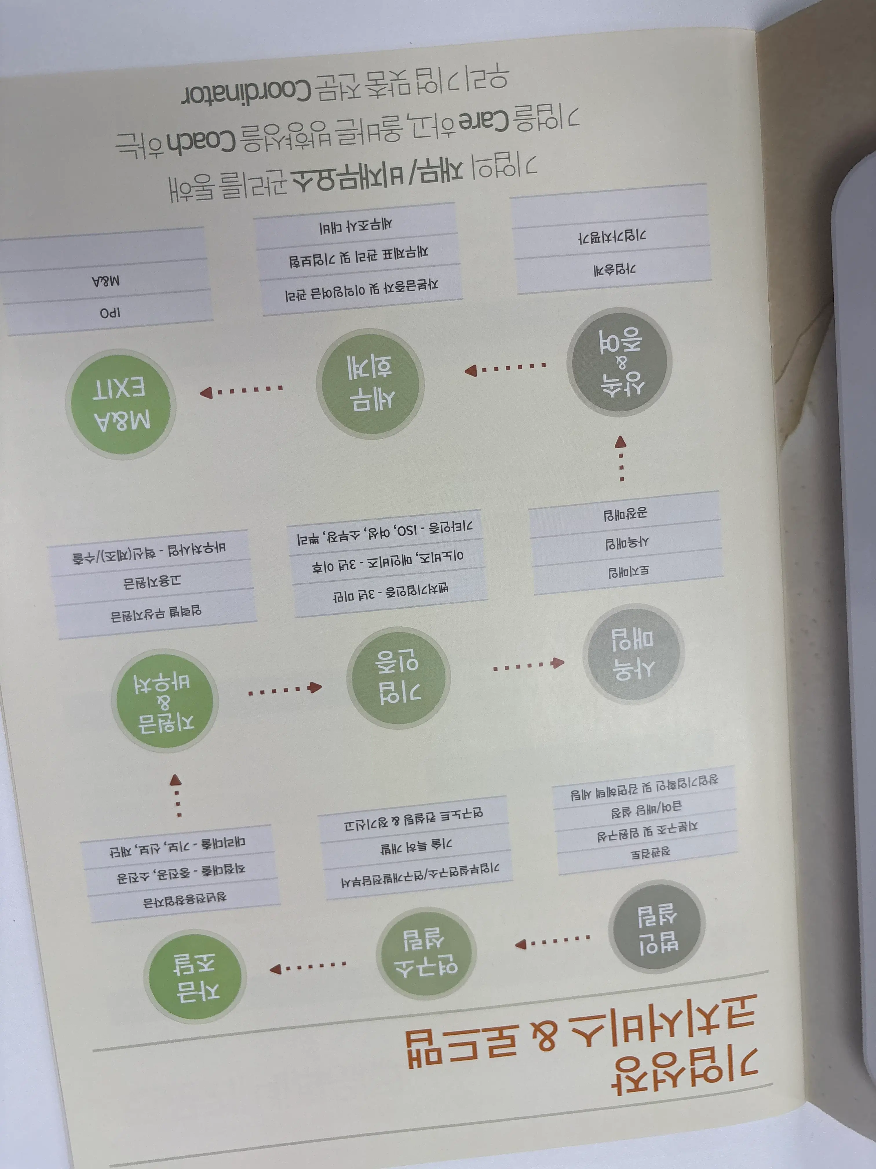 소상공인 정부지원금 vs 지자체 지원금, 온라인 전환 사업자가 알아야 할 차이