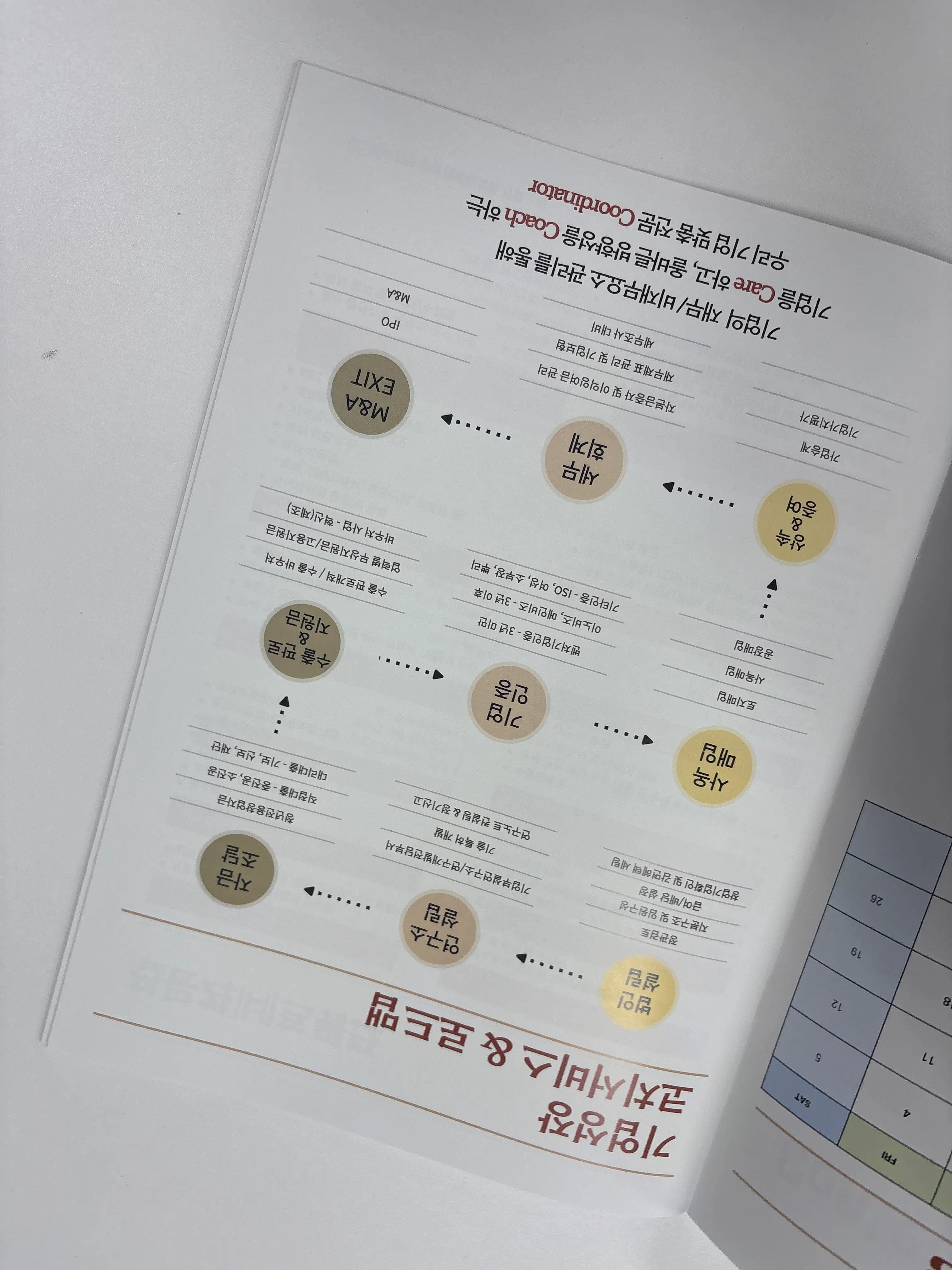 신용점수 680점 서울 카페 사업자, 정책자금 1.5억 승인받은 전략