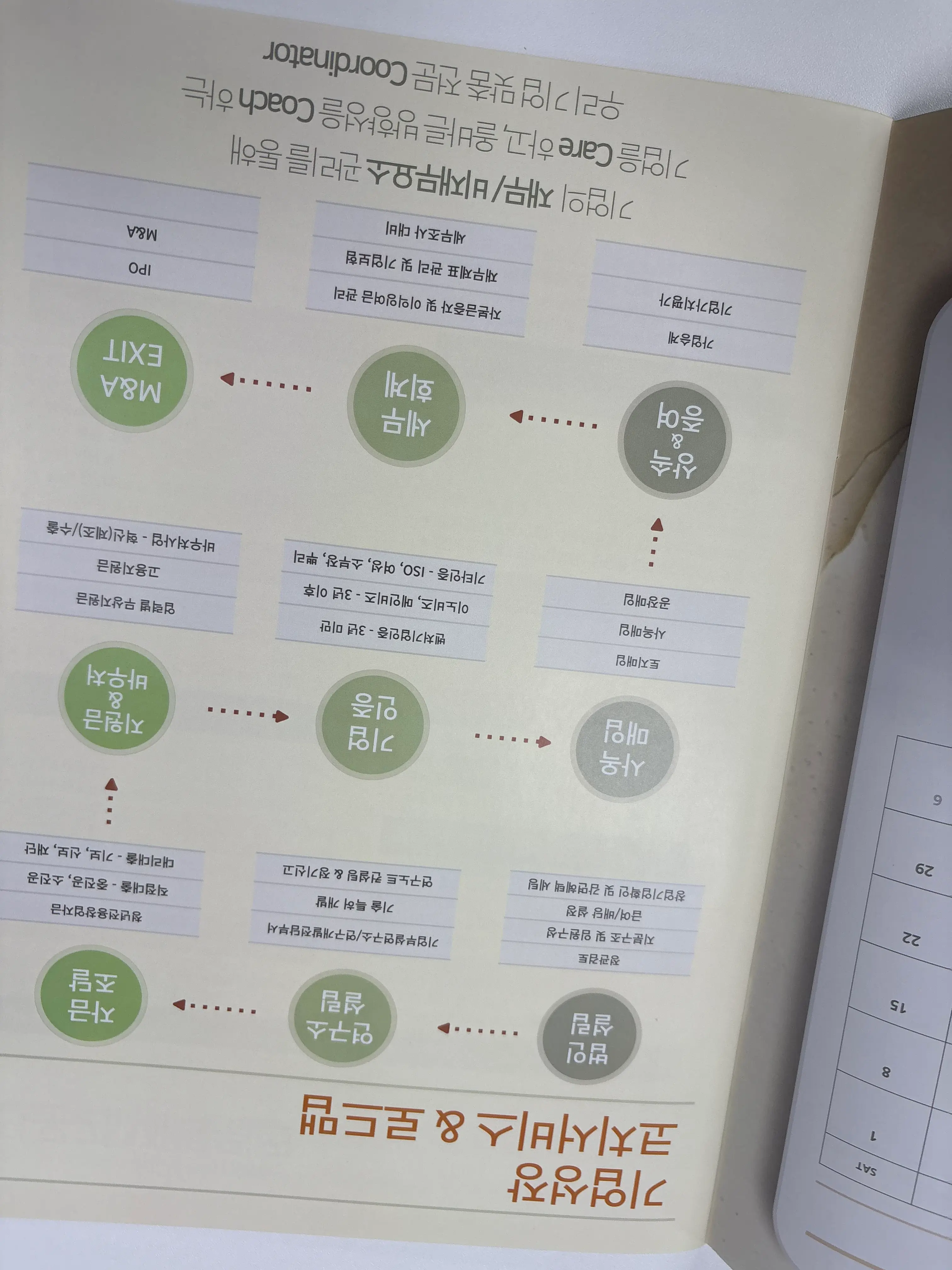 대표이사 급여로 법인 절세가 가능할까? 가업승계 전 꼭 알아야 할 것