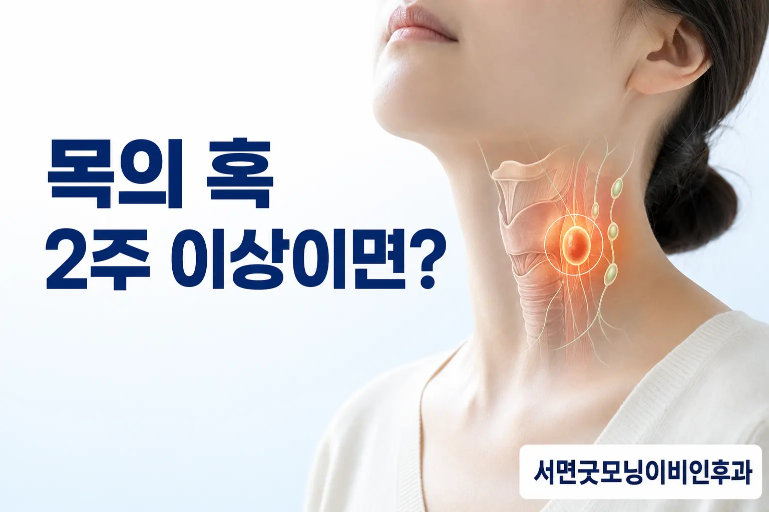 부산이비인후과 | 성인 목의 혹이 2주 이상 지속되면 왜 확인해야 할까요?