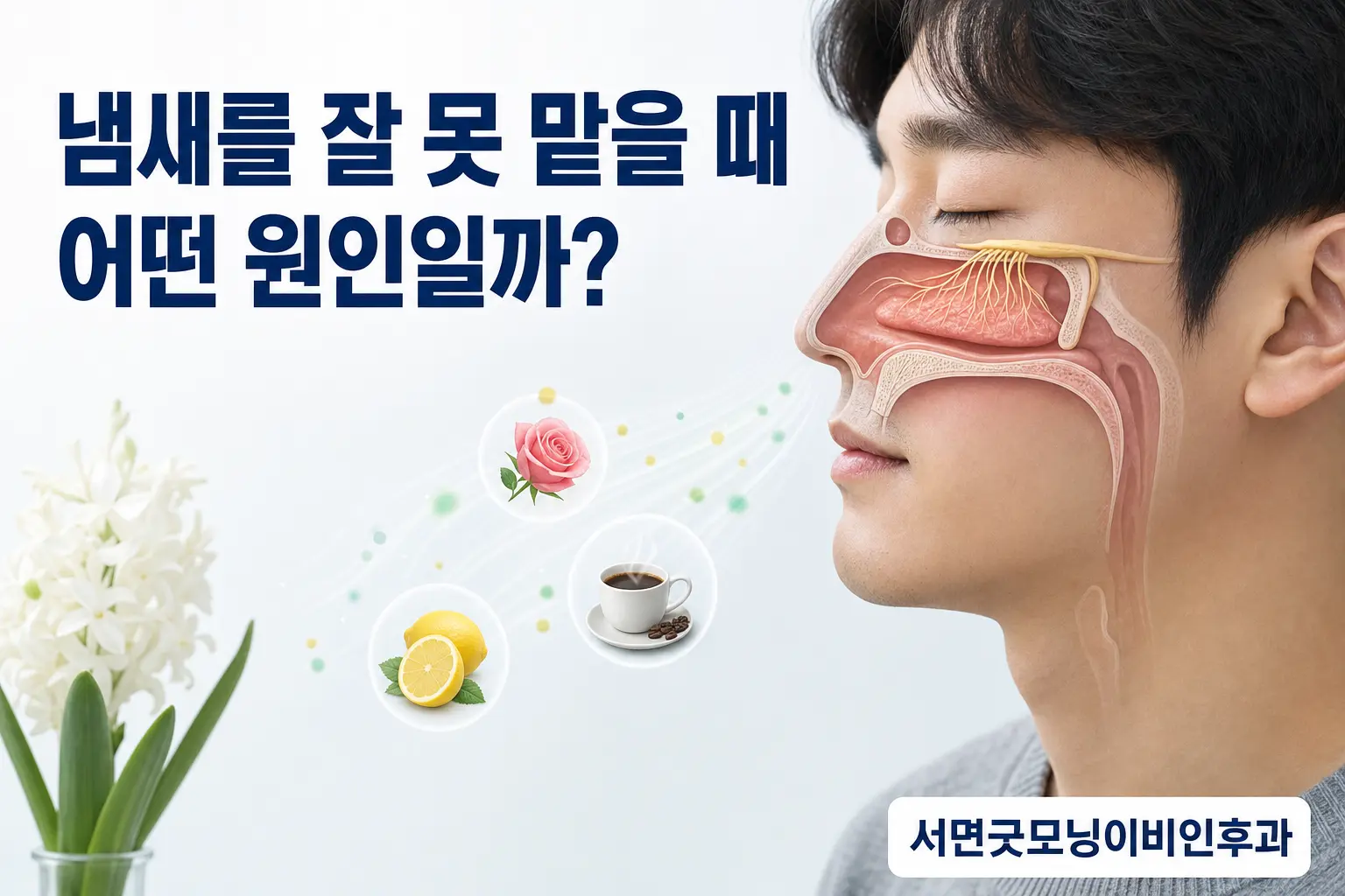 부산이비인후과 | 냄새를 잘 못 맡을 때 어떤 원인을 확인해야 할까요?