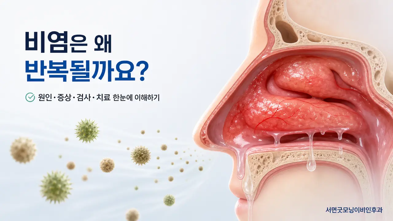 부산이비인후과 | 비염은 왜 반복될까요? 증상·검사·치료를 한 번에 이해하기