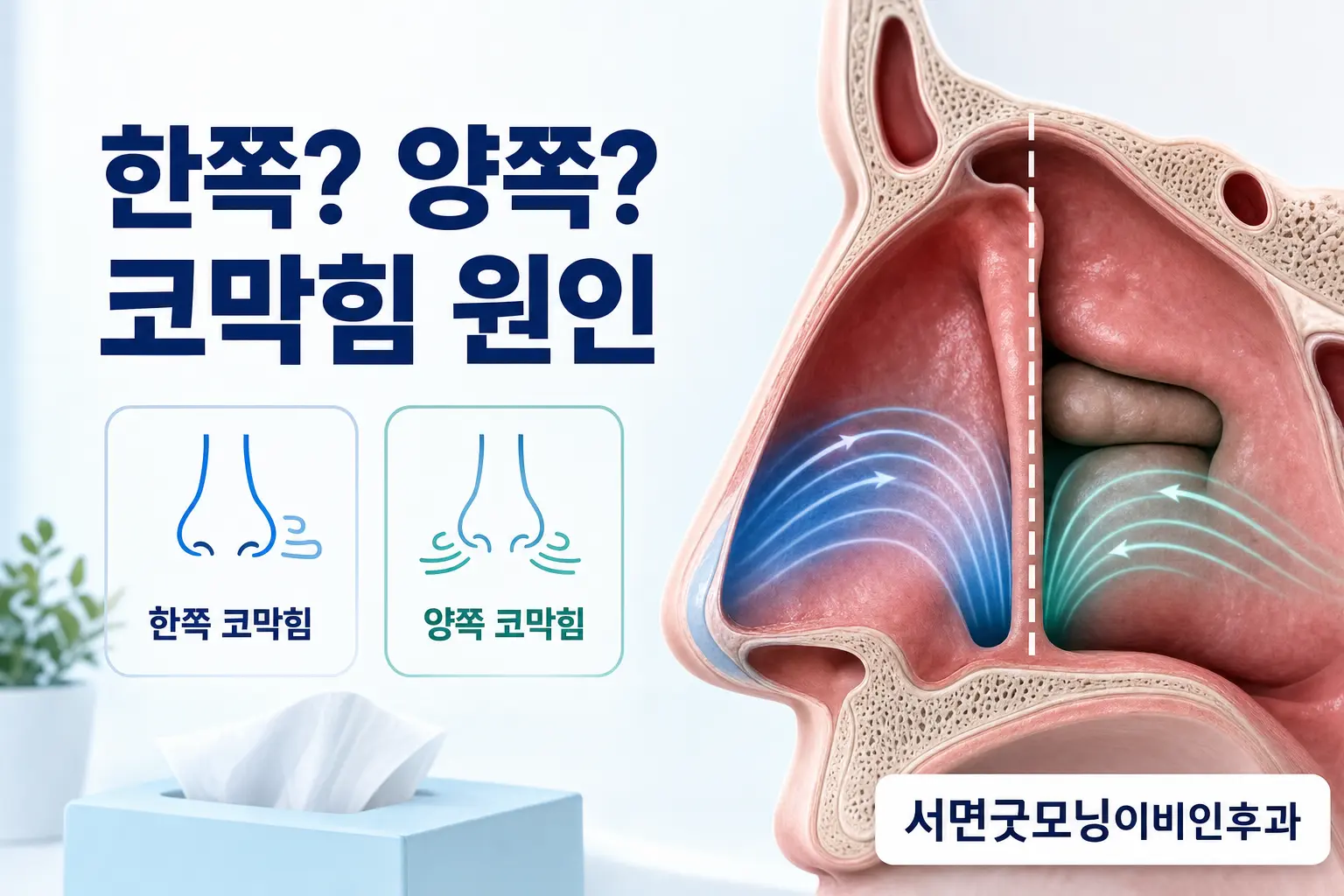 부산이비인후과 | 한쪽 코막힘과 양쪽 코막힘은 원인이 다를까요?