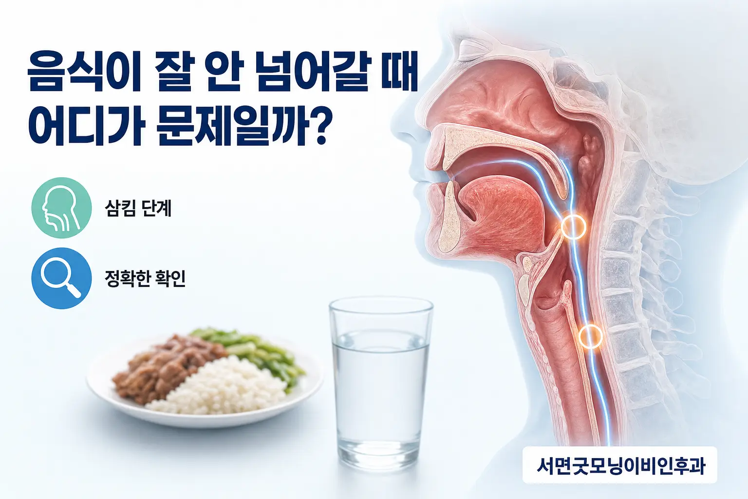 부산이비인후과 | 음식이 잘 안 넘어갈 때 어디에서 문제가 생겼는지 확인하는 법