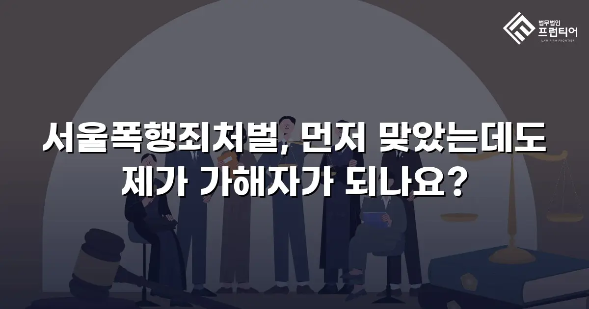 서울폭행죄처벌, 먼저 맞았는데도 제가 가해자가 되나요?