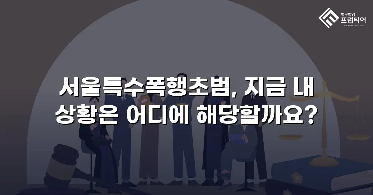 서울특수폭행초범, 지금 내 상황은 어디에 해당할까요?