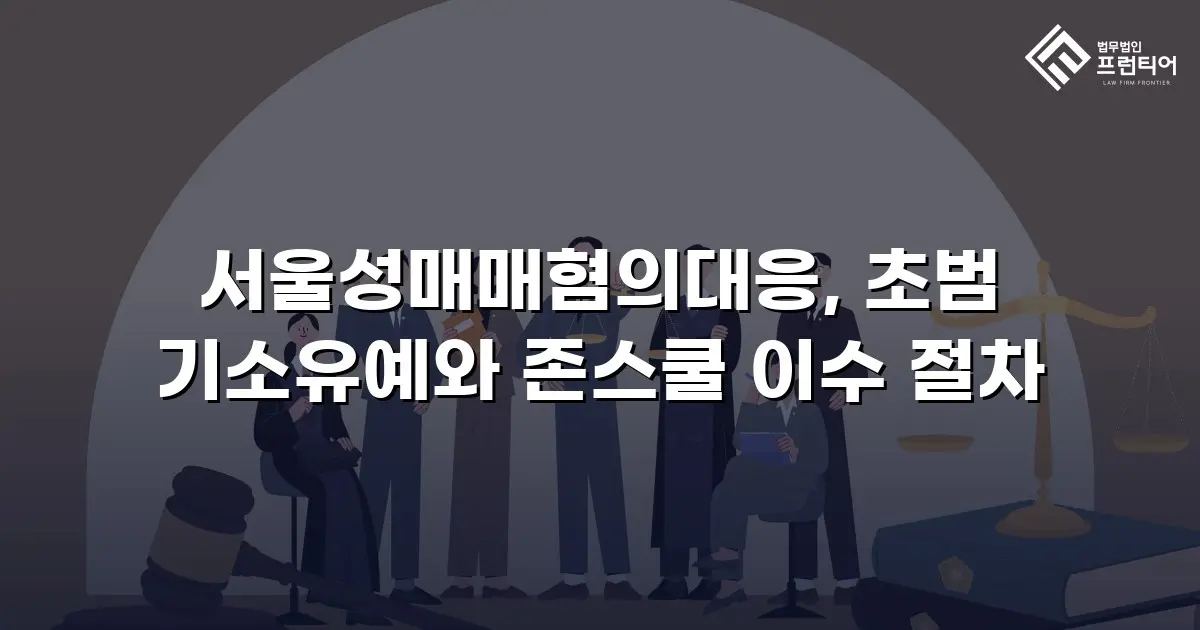 서울성매매혐의대응, 초범 기소유예와 존스쿨 이수 절차
