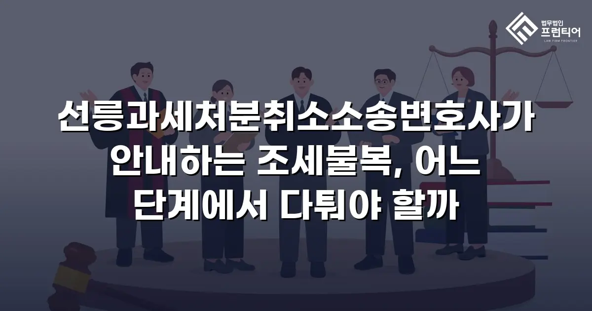 선릉과세처분취소소송변호사가 안내하는 조세불복, 어느 단계에서 다퉈야 할까