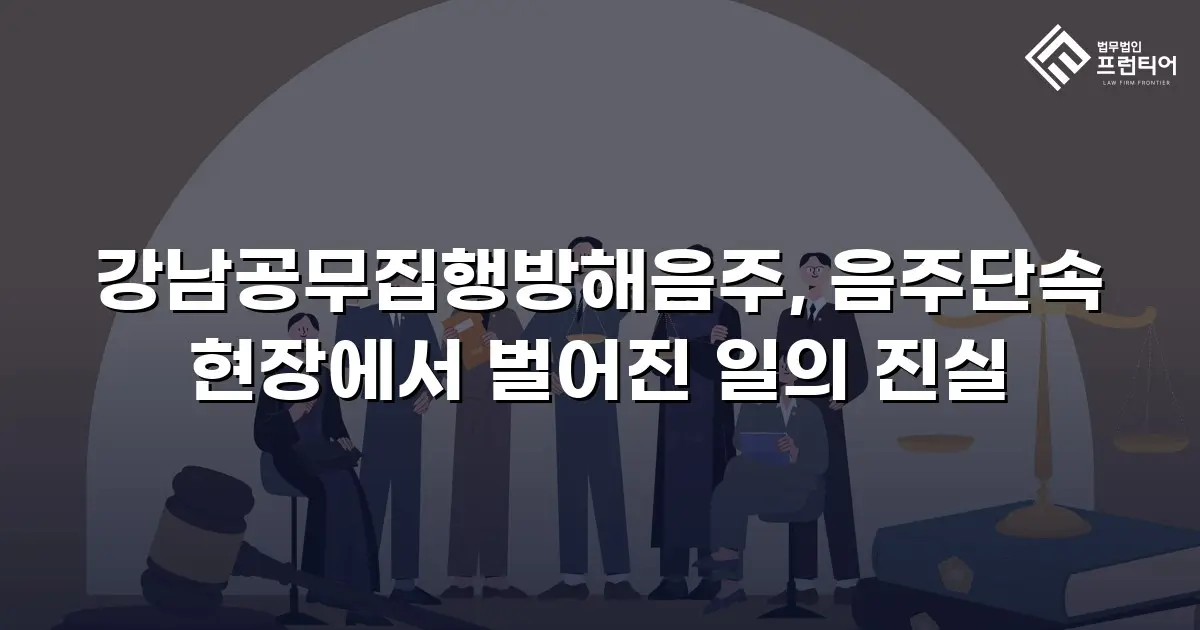 강남공무집행방해음주, 음주단속 현장에서 벌어진 일의 진실