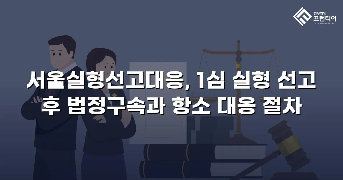 서울실형선고대응, 1심 실형 선고 후 법정구속과 항소 대응 절차