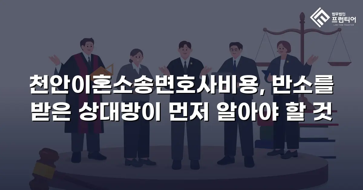 천안이혼소송변호사비용, 반소를 받은 상대방이 먼저 알아야 할 것