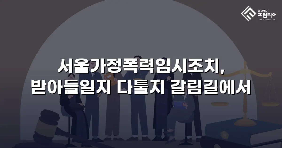 서울가정폭력임시조치, 받아들일지 다툴지 갈림길에서