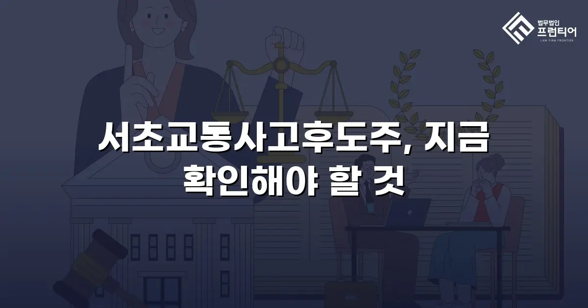 서초교통사고후도주, 지금 확인해야 할 것