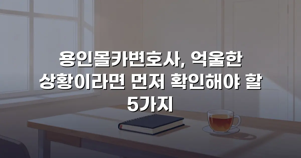용인몰카변호사, 억울한 상황이라면 먼저 확인해야 할 5가지