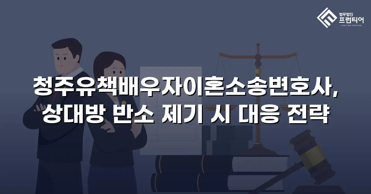 청주유책배우자이혼소송변호사, 상대방 반소 제기 시 대응 전략